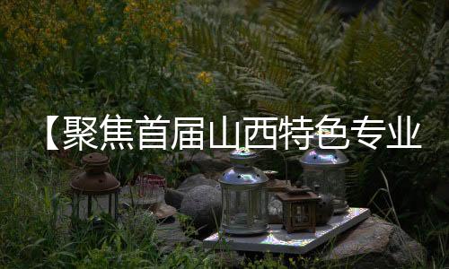 【聚焦首届山西特色专业镇投资贸易博览会】临汾:特色产品 琳琅满目